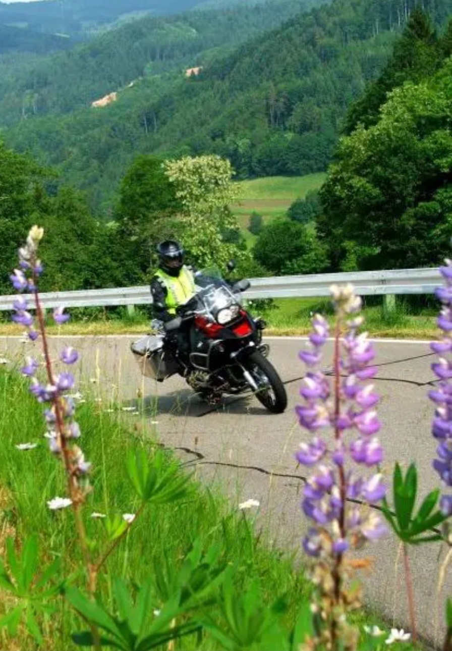 Uitzicht over groene dalen in Luxemburg – onderdeel van de route van Motortourtochten.nl
